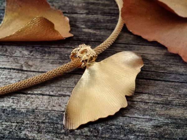 bien-etre-vegetal-ginko-02.jpg